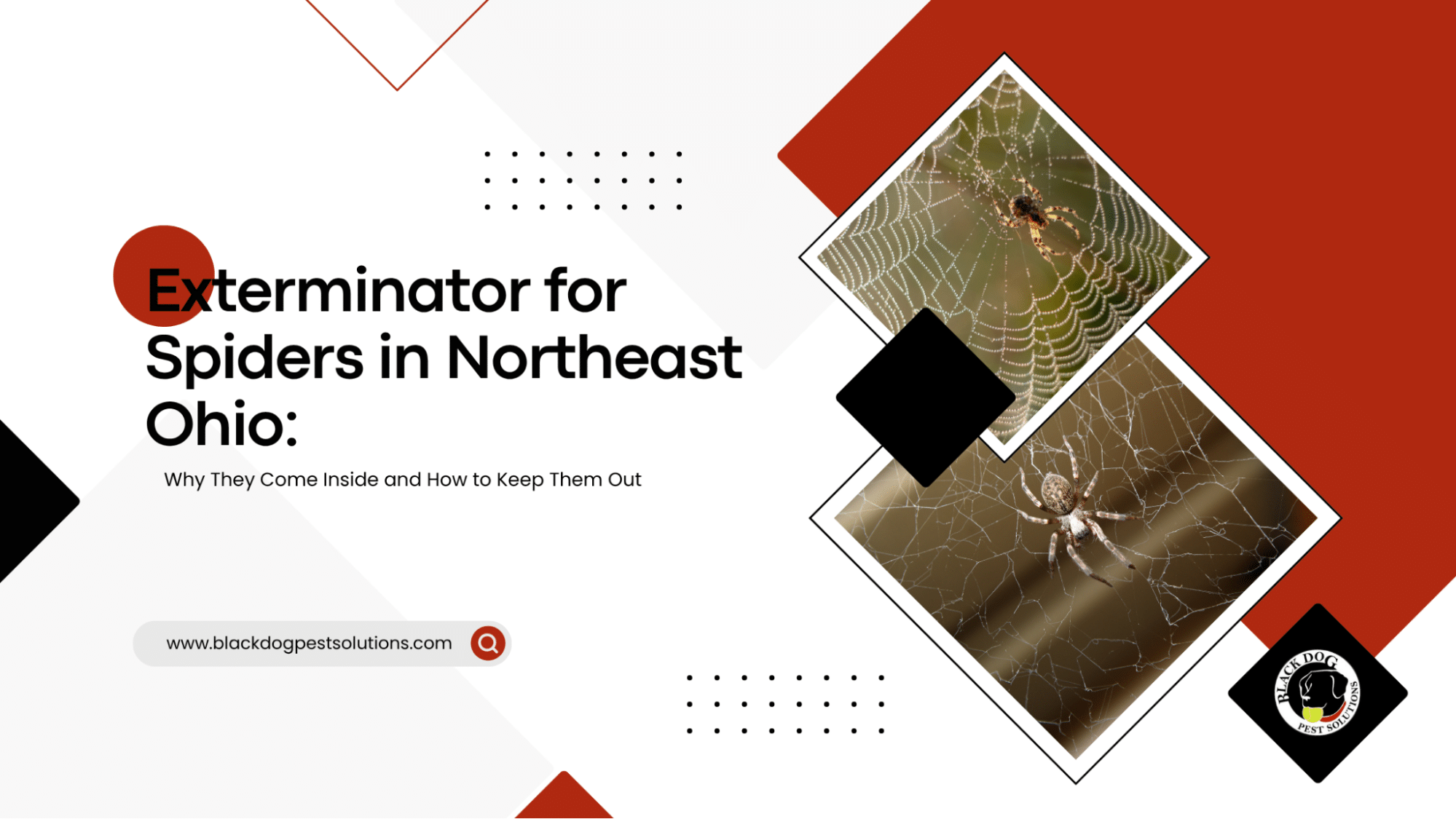 Resources 14 Exterminators for Spiders in Northeast Ohio