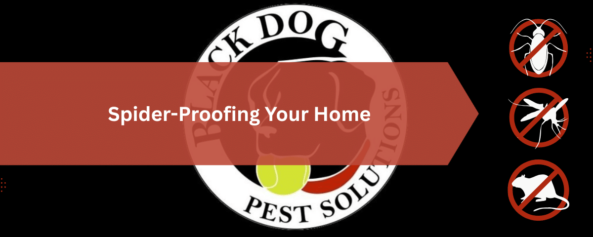 Exterminator for Spiders in Northeast Ohio: Why They Come Inside and How to Keep Them Out 2 Spider-Proofing Your Home