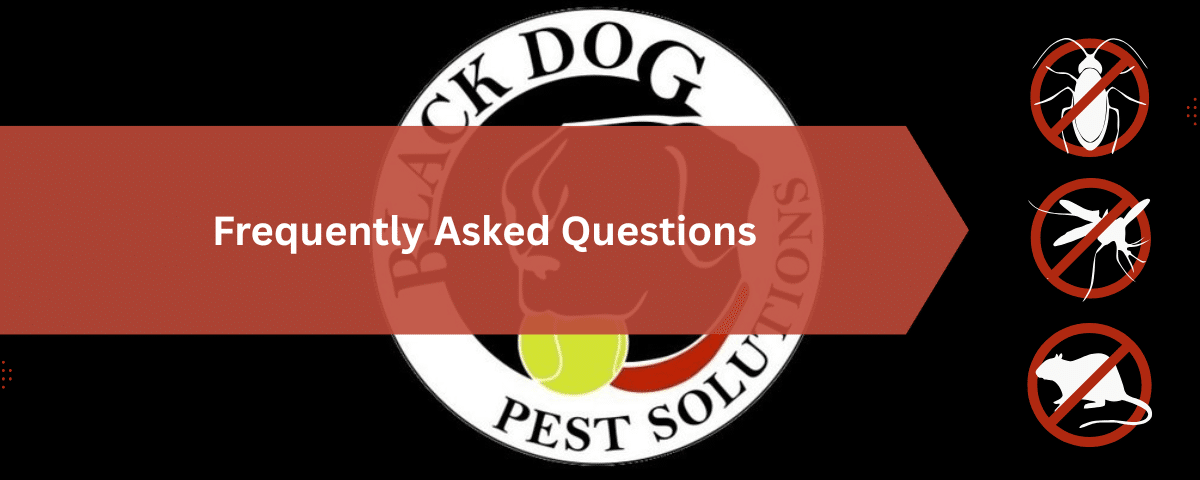 Black Dog Pest Solutions: Pest Control, Termite Treatment & Exterminator Services 8 Frequently Asked Questions