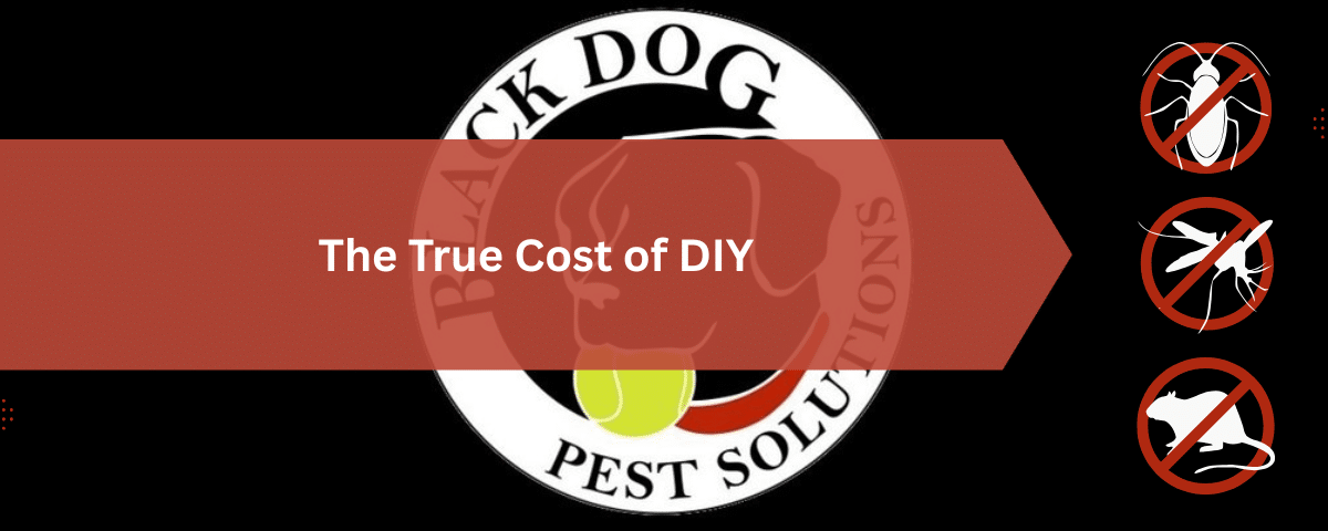 Black Dog Pest Solutions: Pest Control, Termite Treatment & Exterminator Services 4 The True Cost of DIY