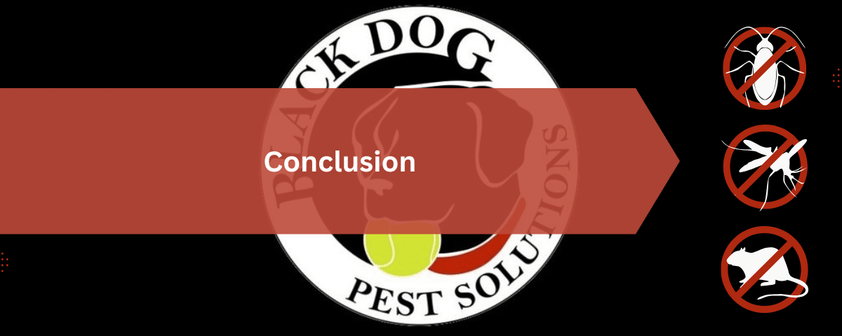 Black Dog Pest Solutions: Pest Control, Termite Treatment & Exterminator Services 7 Conclusion